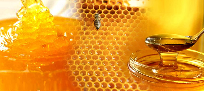 The Marthandam Bee Keepers Co-op Society	